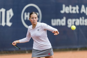 Bild 223 - BL DTV Hannover - BW Dresden Blasewitz : Ergebnis: 2:7